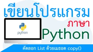คัดลอก List ด้วยเมธอด copy()