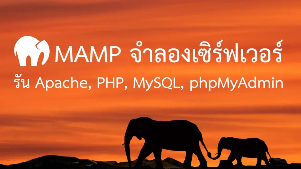 จำลอง Server รัน Apache, PHP, MySQL และ phpMyAdmin ด้วย MAMP