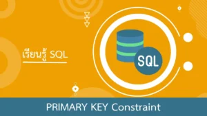 SQL การใช้งาน PRIMARY KEY Constraint