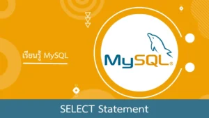MySQL การใช้งานคำสั่ง SELECT