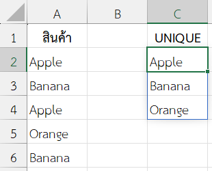 หาว่าสินค้าอะไรบ้างที่มีอยู่ในสต็อก